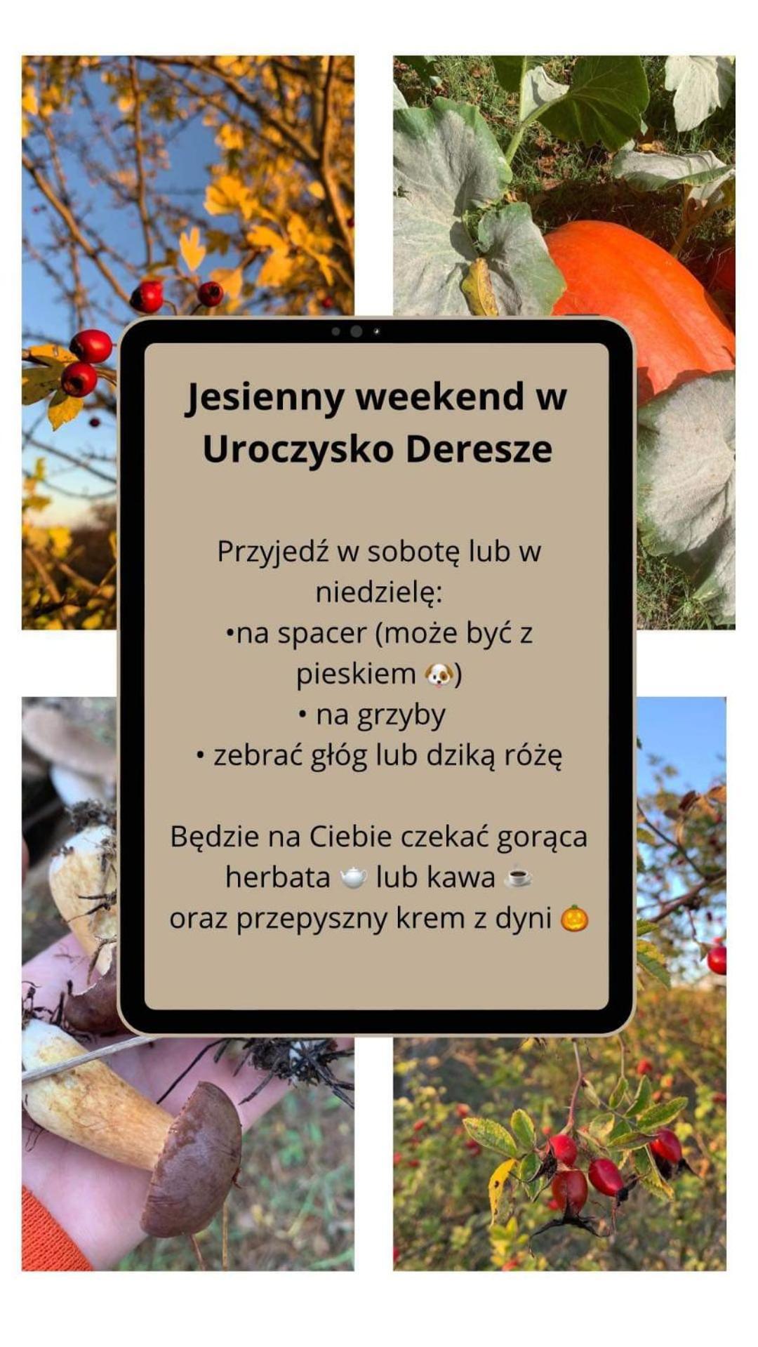 Uroczysko Deresze Villa Gilawy Eksteriør billede